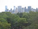 Tall buildings look over Central Park.